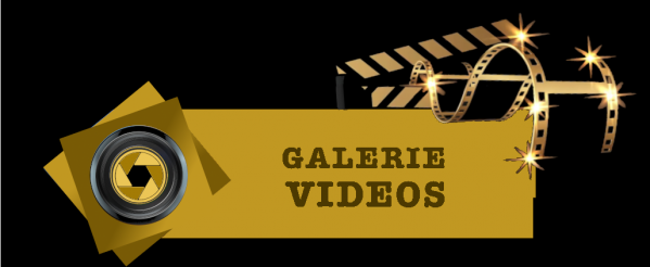 Cng i paveau galerie videos